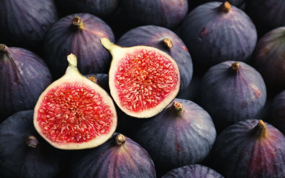 Figs (Anjeer): The best solution to infertility in men